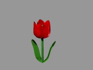 tulipa.png