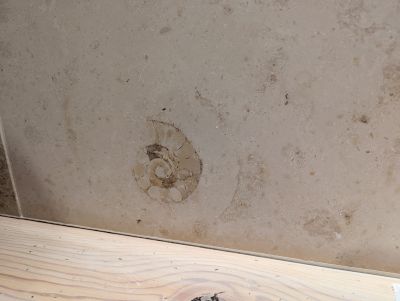 PXL_20250517_035351533.jpg